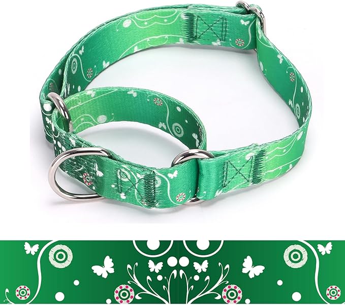 Martingale Dog Collars (3, L)