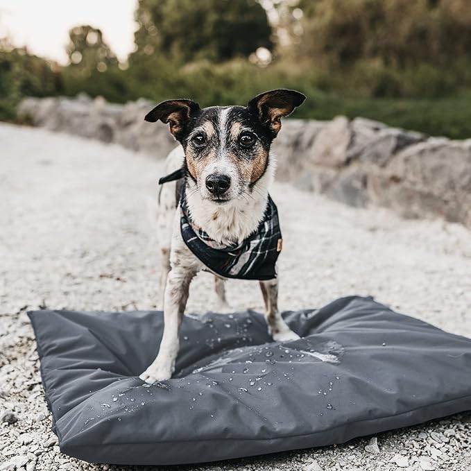 Dog Bed Covers for 44" L × 32" W × 4" H 600D Oxford Waterproof Dog Bed Cover with Zipper and Carry Handle Dog Bed Covers Replacement Washable, Cover Only (Gray)