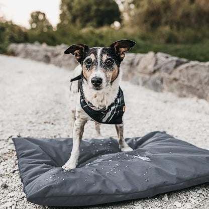 Dog Bed Covers Replacement Washable, 30L X 20W X 3H inch Washable Removable Orthopedic, Cooling Gel and Memory Foam pet Bed Protector Cover. Cover only (Gray)