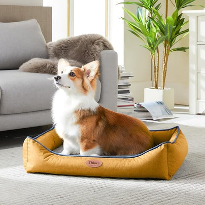 Orthopedic Dog Beds for Medium Large Dogs