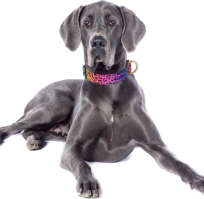 Reflective Dog Collar