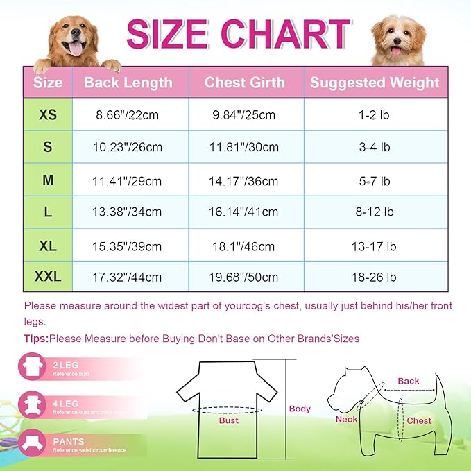 Dog Dresses for Small Medium Dogs Girl Pineapple Mesh Dress Dog Outfit