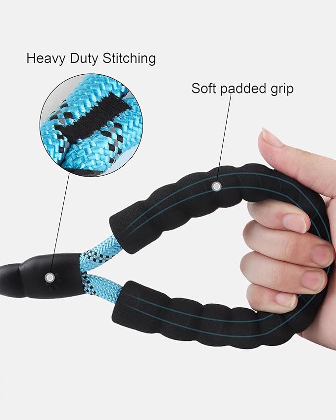 PETANK Rope Dog Leash 4 FT with Comfortable Padded Handle and Highly Reflective Threads for Small Medium Dogs (Black 4FT*2/5")