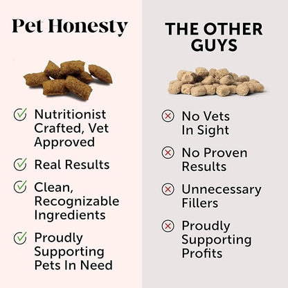 Pet Honesty All-Natural Probiotic & Pumpkin Powder Dog Supplement - Prebiotics, Probiotics, Enzymes & Antioxidants for Healthy Gut Flora, Digestion & Immunity (90 Scoops)