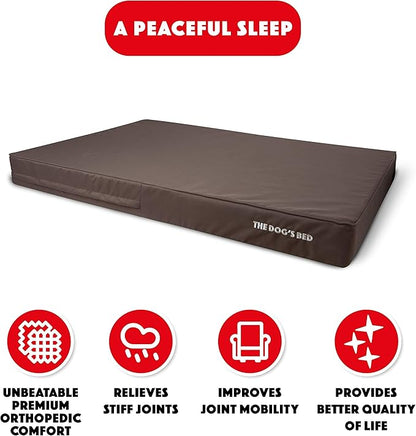 The Dog’s Bed Orthopedic Memory Foam Dog Bed 64x44, Pain