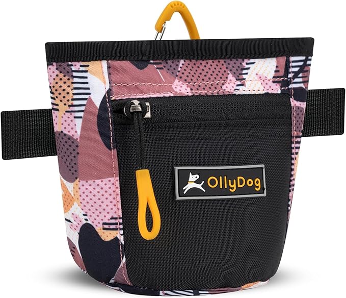 OllyDog Goodie Treat Bag, Dog Treat Pouch, Waist Belt Clip for Hands-Free Training, Magnetic Closure, Dog Training and Behavior Aids, Three Ways to Wear (Autumn Camo)