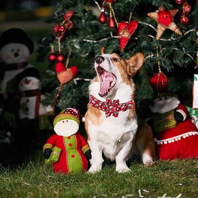 Elegant little tail Dog Collar with Flower