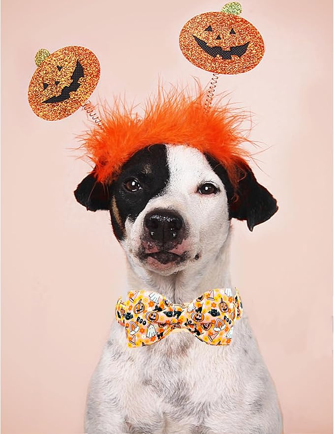 Lionheart glory Halloween Dog Collar with Bowtie Fall Pumpkin Ghost Cat Print Dog Collars Bow Tie Heavy Soft Adjustable Collar for Medium Dogs Dog Bow Collar Holiday Pet Gift