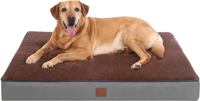 Bedfolks 4" Thick Orthopedic Dog Bed for Jumbo Dogs