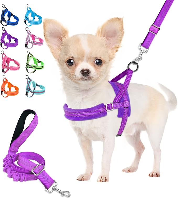 Lukovee Dog Harness and Leash Set, Soft Padded Small Dog Harness, Neck & Chest Adjustable Reflective Vest Puppy Harness with 4ft Lightweight Anti-Twist Dog Leash for Small Dogs (XX-Small, Purple)