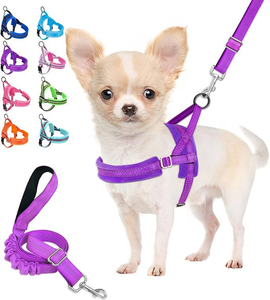 Lukovee Dog Harness and Leash Set, Soft Padded Small Dog Harness, Neck & Chest Adjustable Reflective Vest Puppy Harness with 4ft Lightweight Anti-Twist Dog Leash for Small Dogs (Purple, Large)