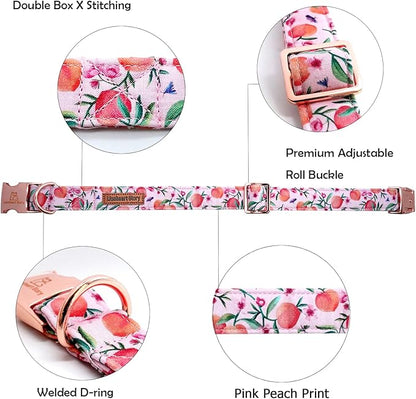 Lionheart glory Pink Dog Collar Peach Dog Collar