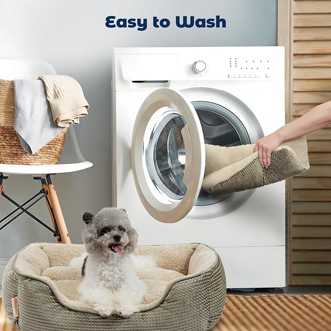 Miguel Dog Bed with Removable Cushion/Pillow for Medium Small Dogs 35 Inch