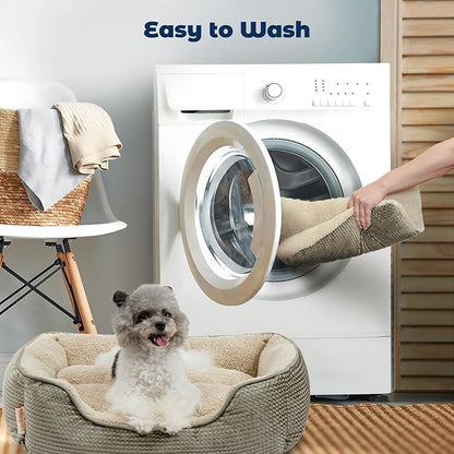 Miguel Dog Bed with Removable Cushion/Pillow for Small Dogs 20 Inch