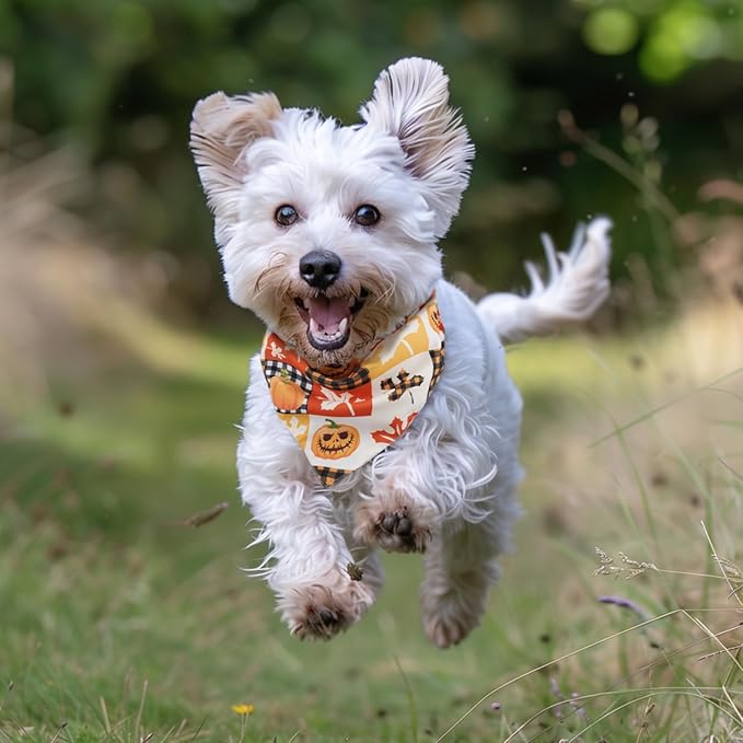 Fall Dog Bandana 2 Pack Halloween Dog Bandanas Thanksgiving Pumpkin Pet Scarf Reversible Fall Triangle Bibs Soft Cotton Boy Girl Dog Bandanas for Small, Medium, Large Dogs (Large)