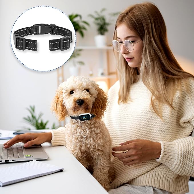 Reflective Collar Replacement Strap (2cm Wide)