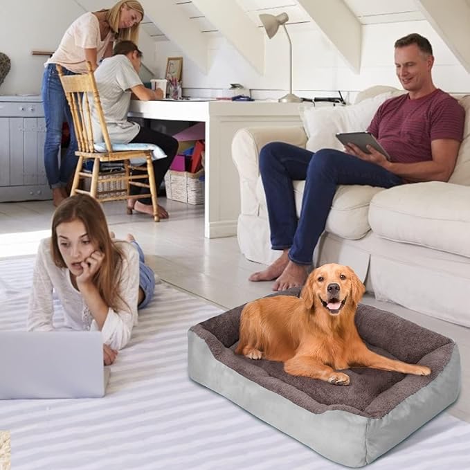 PUPPBUDD Dog Beds for Medium Dogs