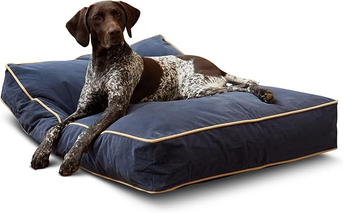 South Pine Porch Buddy Rectangle Pillow Style Dog Bed (42" x 30")