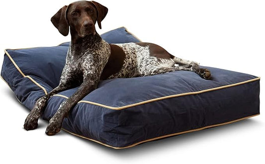 South Pine Porch Buddy Rectangle Pillow Style Dog Bed (42" x 30")