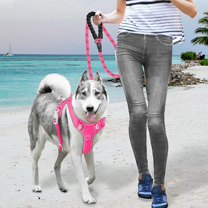 BARKBAY No Pull Dog Harness Large Step in Reflective Dog Harness with Front Clip and Easy Control Handle for Walking Training Running with ID tag Pocket(Pink