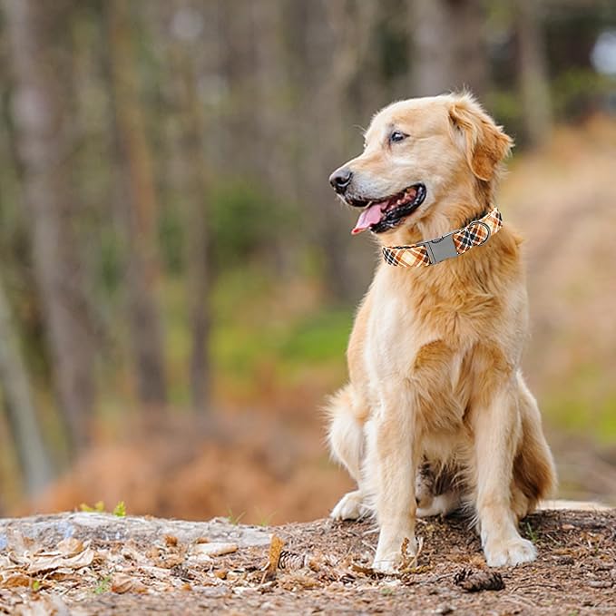 Lionheart glory Plaid Dog Collars Fall Halloween Dog