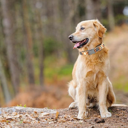 Lionheart glory Plaid Dog Collars Fall Halloween Dog