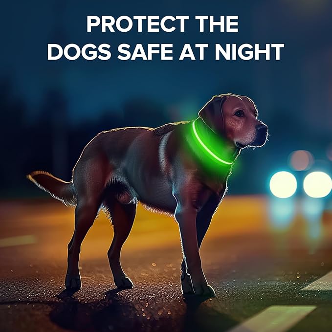 Led Dog Collar for Night Walking