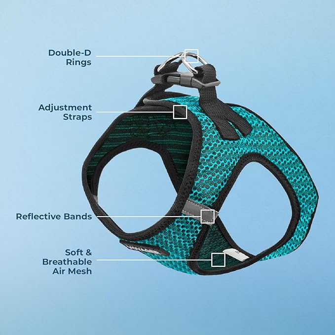 Voyager Step-in Air Dog Harness - All Weather Mesh Step in Vest Harness for Small and Medium Dogs and Cats by Best Pet Supplies - Harness (Turquoise 2-Tone), S (Chest: 14.5-16")