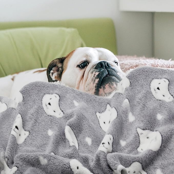 1 Pack 3 Puppy Blankets Super Soft Dog Blankets Warm Sleep Mat Bear Print Blanket Fluffy Fleece Pet Blanket Flannel Throw Blankets for Small Dogs Puppy Dogs Fluffy Cats (29"x20")