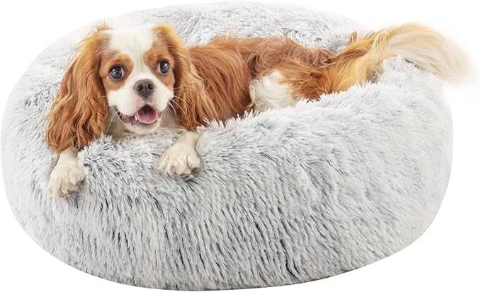 Calming Dog Bed for Medium Large Dogs 31" Gradient