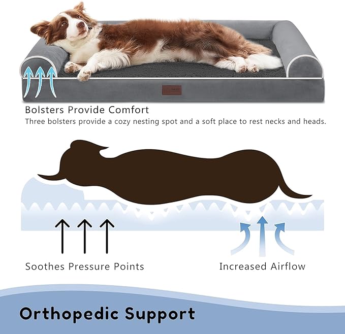Orthopedic Dog Beds for Large Dogs