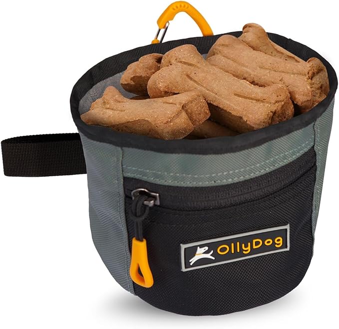 OllyDog Goodie Treat Bag, Dog Treat Pouch, Waist Belt Clip for Hands-Free Training, Magnetic Closure, Dog Training and Behavior Aids, Three Ways to Wear (Juniper)