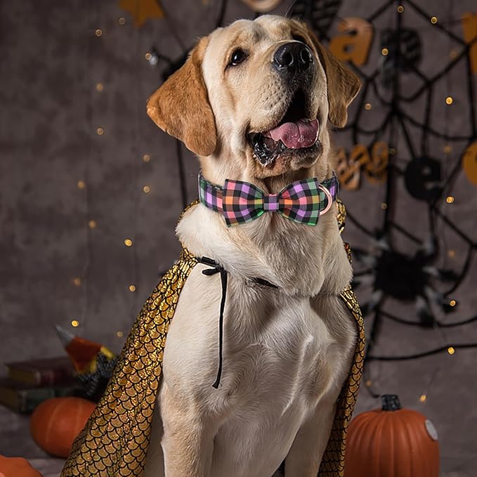 ARING PET Halloween Dog Collar