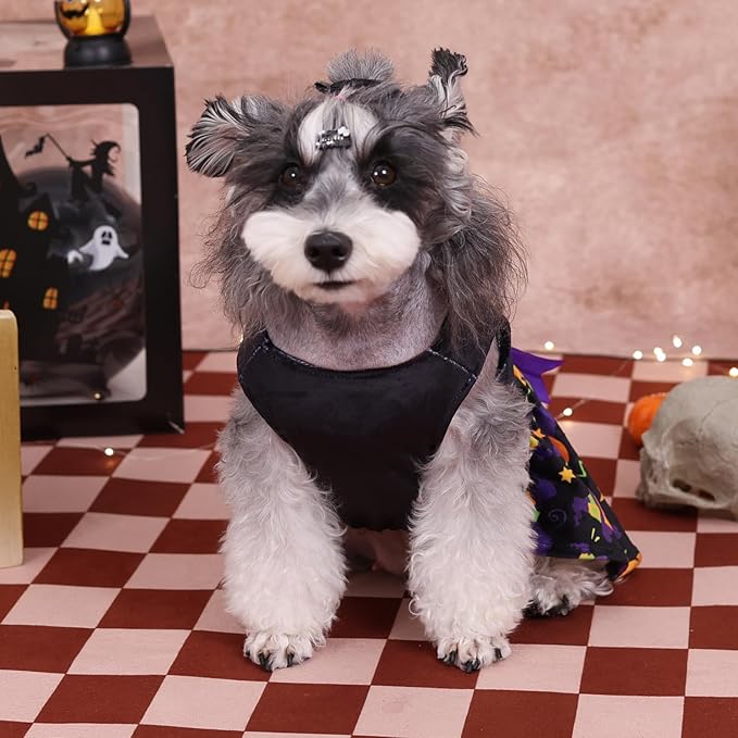 CuteBone Halloween Dog Dresses Velvet Holiday Small Dogs CVA41XXS-D