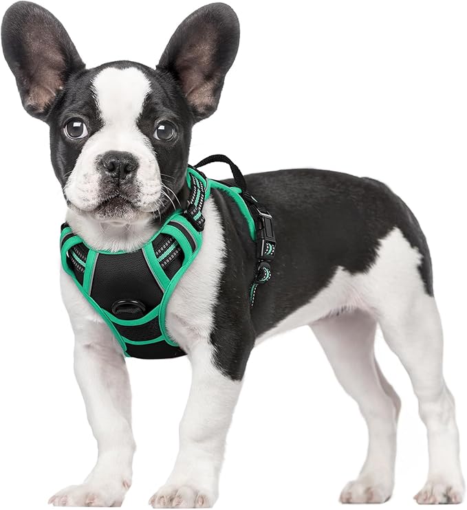 rabbitgoo Dog Harness, No-Pull Pet Harness with 2 Leash Clips, Adjustable Soft Padded Dog Vest, Reflective No-Choke Pet Oxford Vest with Easy Control Handle for Large Dogs, Black & Turquoise, S