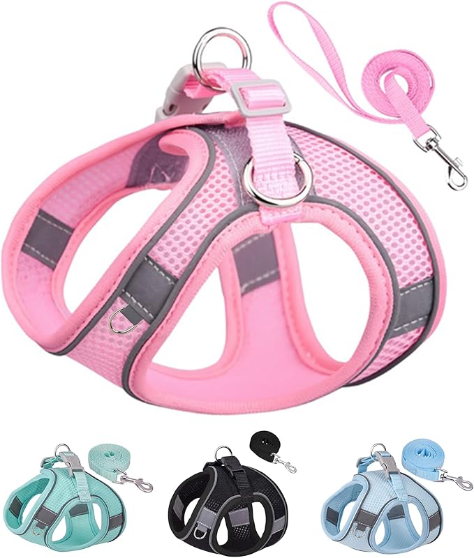 Solmoony Dog Harness for Small Medium Dogs No Pull, Puppy Harness and Leash Set, Puppy Harness for Small Dogs, Step in Harness for Small Dogs, Small Dog Harness, mesh Dog Harness. (Pink, S)