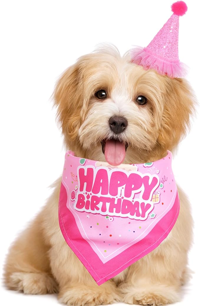 Dog Birthday Party Bandana Hat Set Dog Birthday