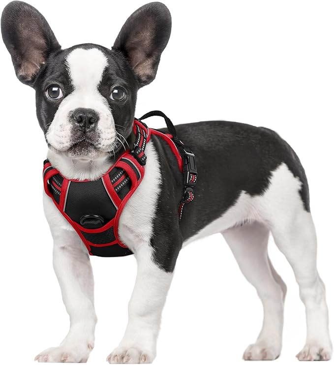 rabbitgoo Dog Harness, No-Pull Pet Harness with 2 Leash Clips, Adjustable Soft Padded Dog Vest, Reflective No-Choke Pet Oxford Vest with Easy Control Handle for Large Dogs, Black & Red, S