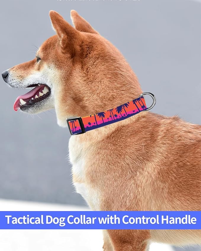 Dog Collar