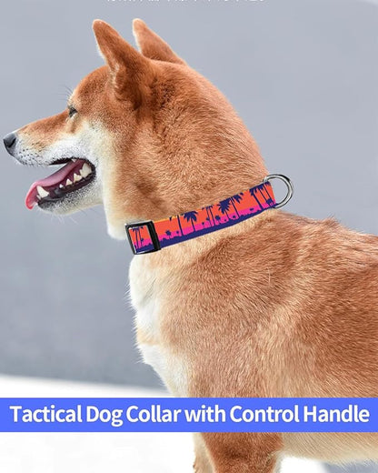 Dog Collar