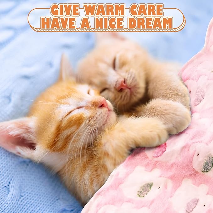 Chumia 18 Pcs Fleece Pet Blanket Soft Warm (23 x 16 Inch)