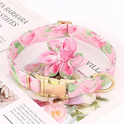 Beirui Cute Girl Dog Collars for Female Dogs