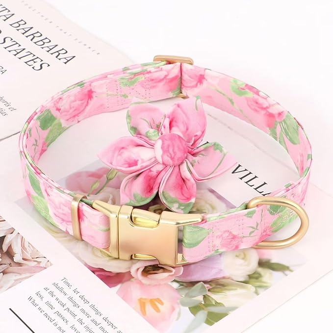 Beirui Cute Girl Dog Collars for Female Dogs