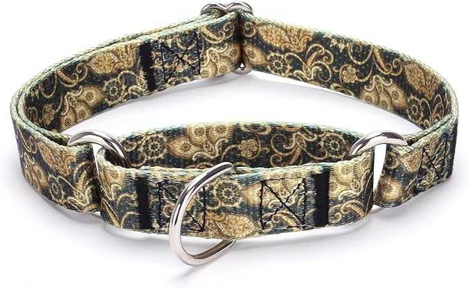 Martingale Dog Collars - Flower Multicolor Cute Patterns, Adjustable Nylon Training Dog Collar Suitable for Boy and Girl Dogs Medium Large Dogs (M, Gold)