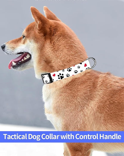 Dog Collar