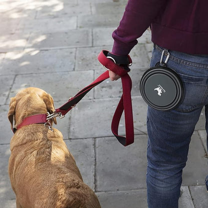 Collapsible Dog Bowls for Travel, 2-Pack Dog Portable Water Bowl for Dogs Cats Pet Foldable Feeding Watering Dish for Traveling Camping Walking with 2 Carabiners, BPA Free