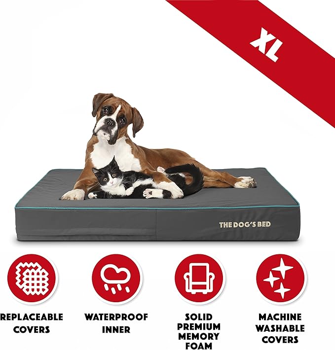 The Dog’s Bed Orthopedic Memory Foam Dog Bed 46x28, Pain