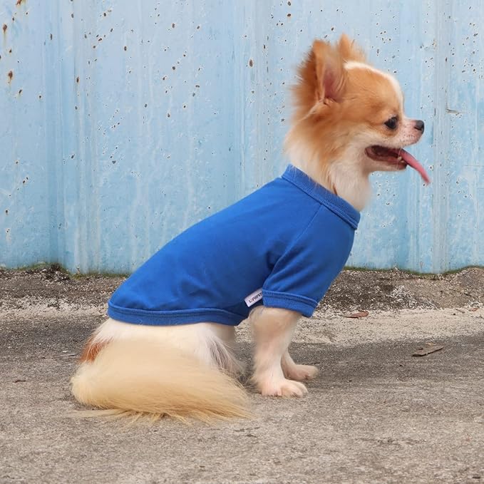LOPHIPETS 100% Cotton Dog Tee Shirt for Small
