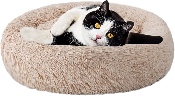 Aurako Cat Bed Dog Bed Round Cushion Pet 20" Yellow