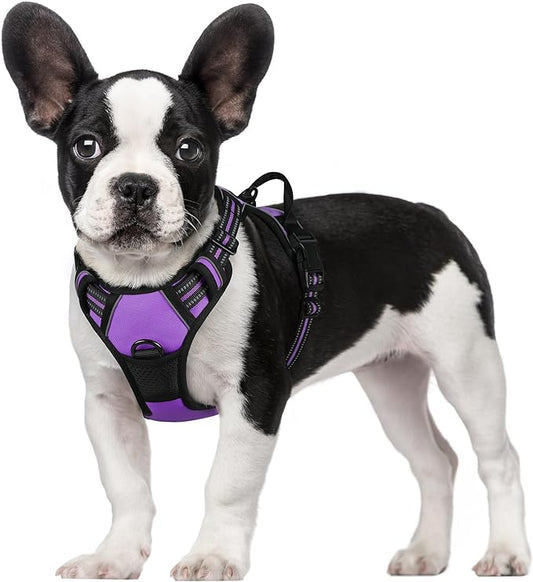 rabbitgoo Dog Harness 2 Leash